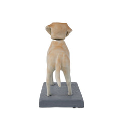 Fully Customized 1 Dog Custom Bobbleheads from Your Photo